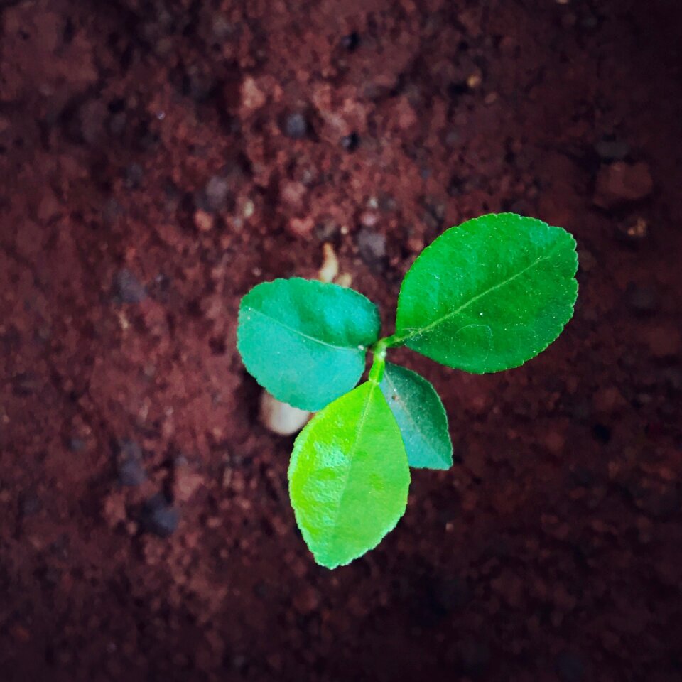 Free stock photo from Snapwire