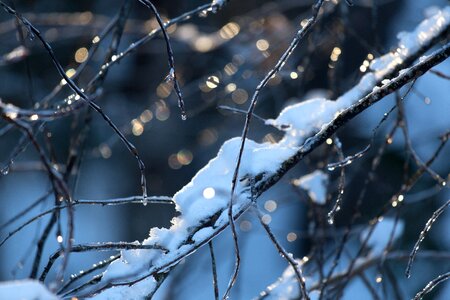 Free stock photo of cold, ice, nature