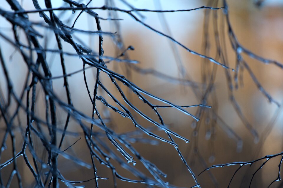 Free stock photo of cold, ice, nature