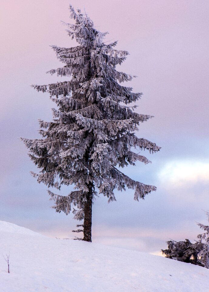 Free stock photo from Snapwire
