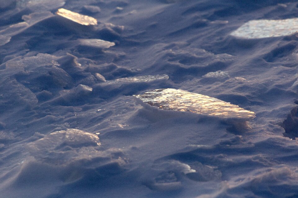 Free stock photo of cold, ice, nature