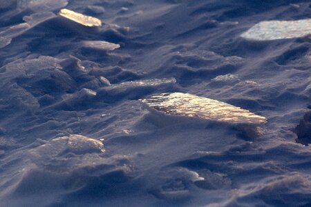 Free stock photo of cold, ice, nature