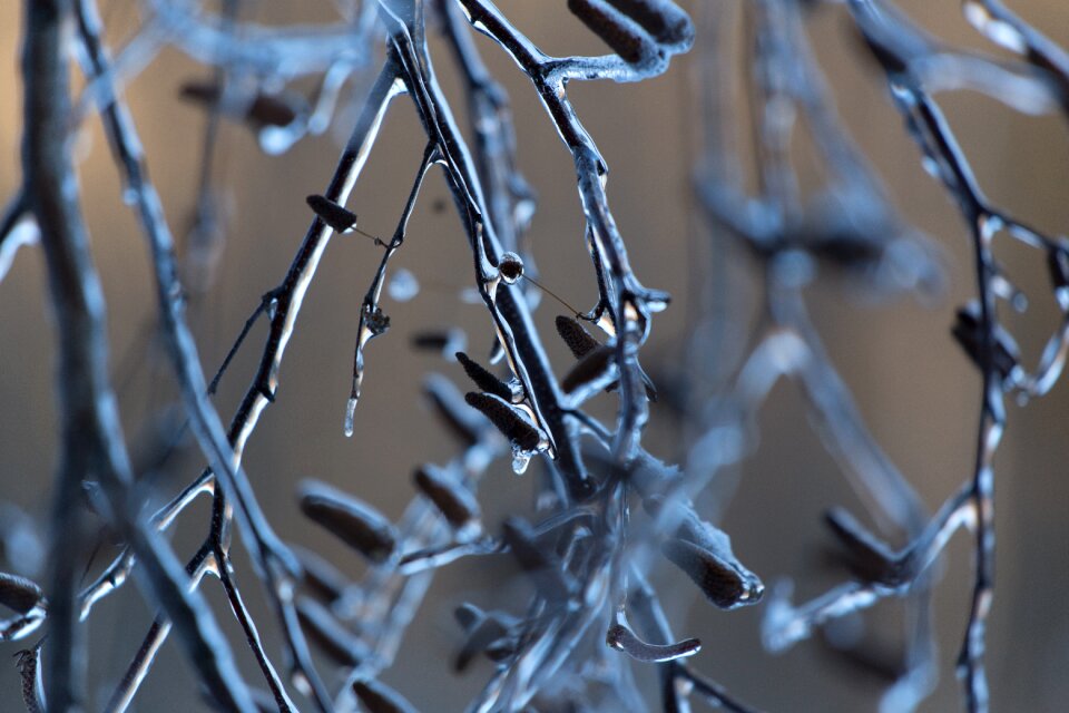 Free stock photo of cold, ice, nature