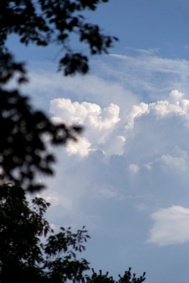 Free stock photo of clouds, nature, sky