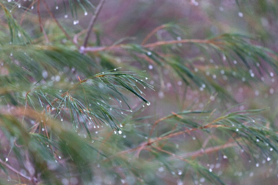 Free stock photo of cold, ice, nature photo