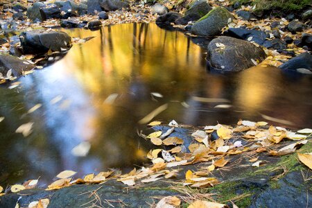Free stock photo of foliage, landscape, nature