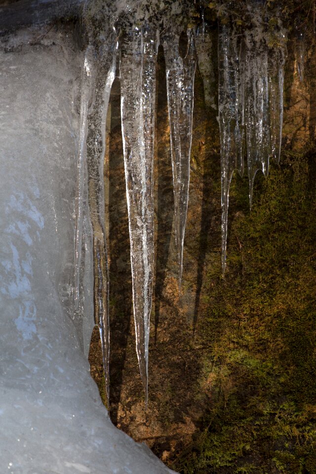 Free stock photo of ice, nature, water