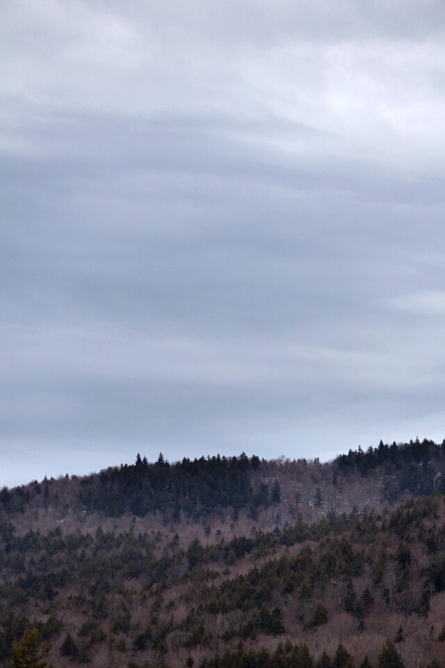 Free stock photo of clouds, forest, mountains