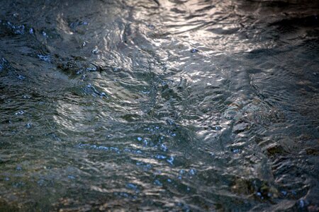 Free stock photo of nature, water
