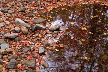 Free stock photo of landscape, nature, rocks