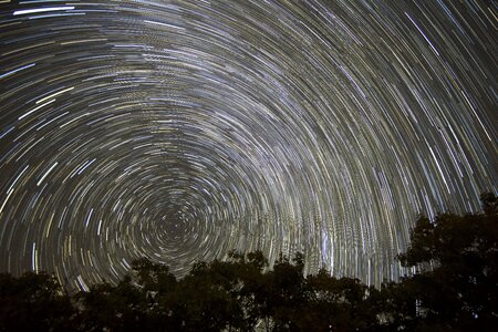 Timelapse Photo of Trees With Background of Star photo