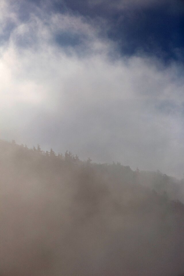 Free stock photo of fog, landscape, nature