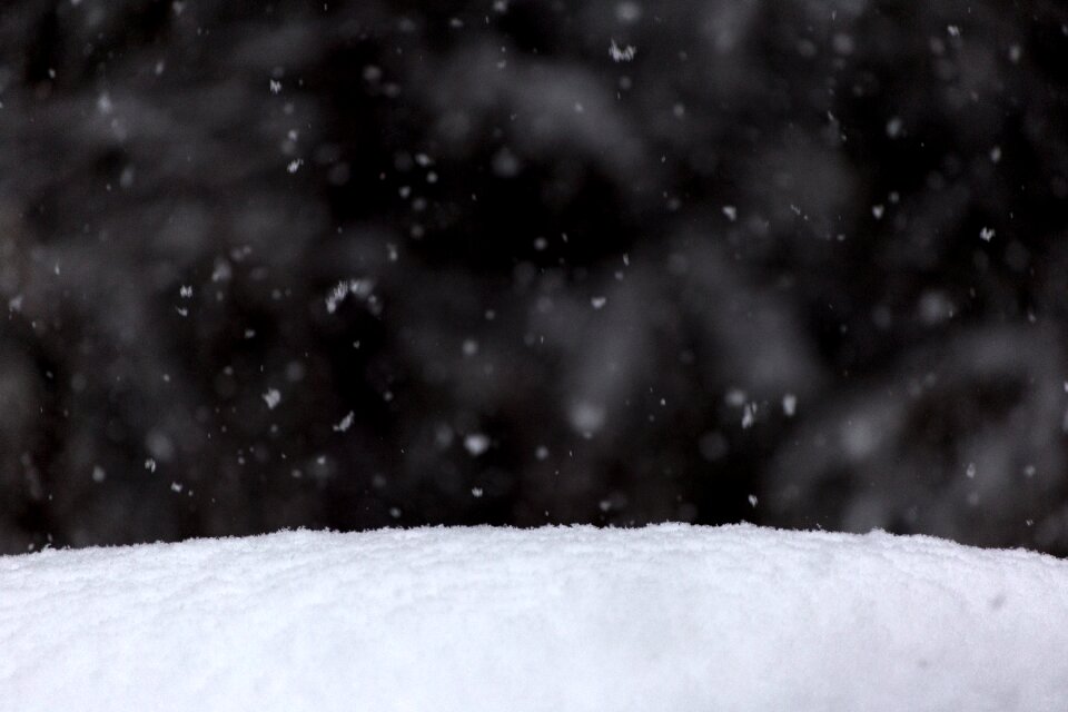 Free stock photo of nature, snow, winter