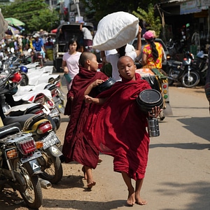 Child monks buddhism boys photo