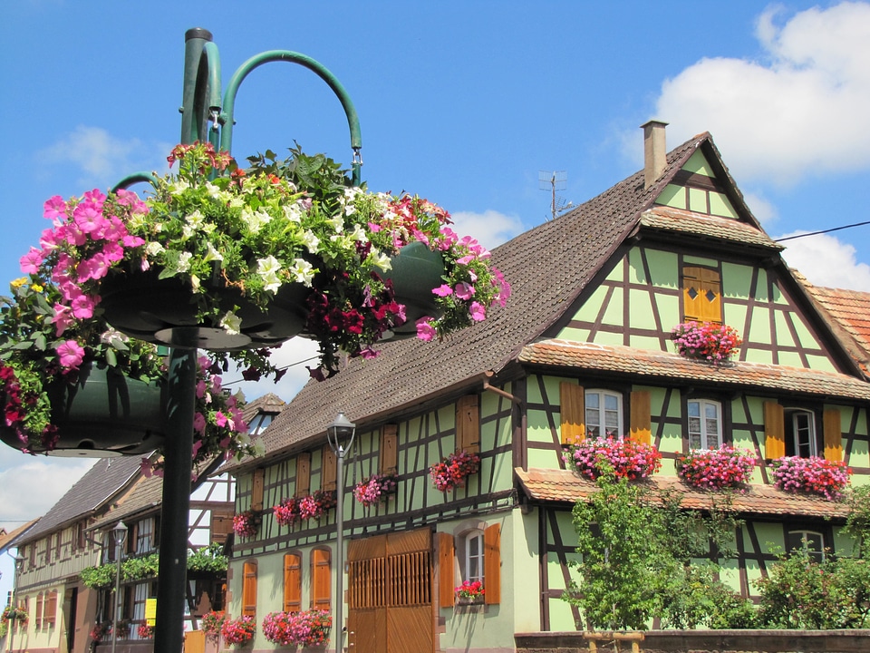 Village buildings flowers