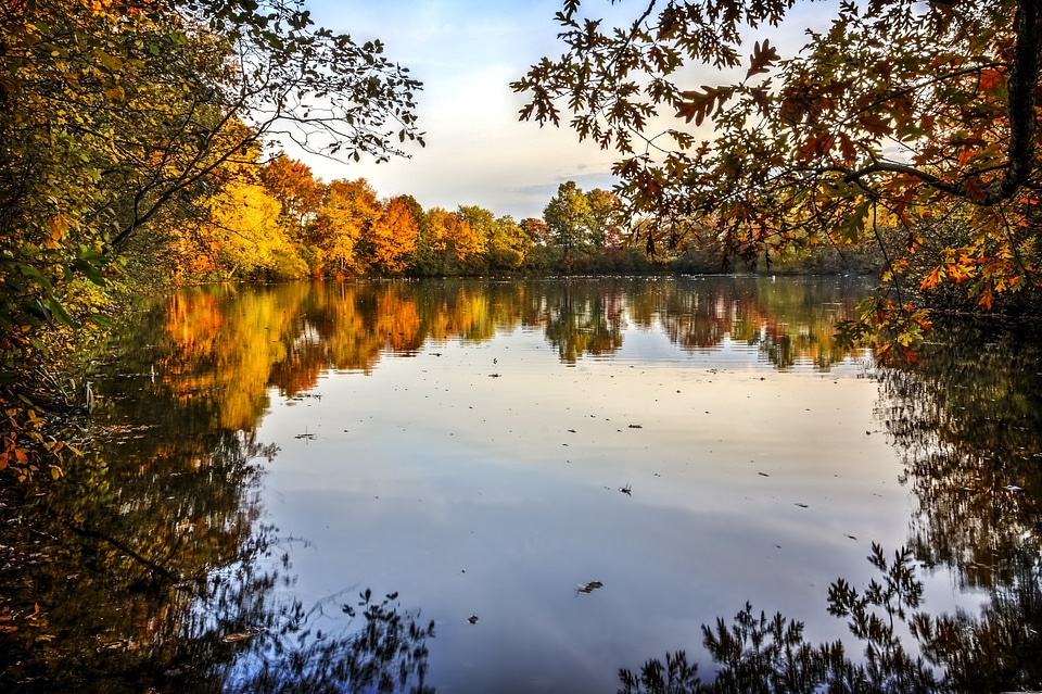 Nature season color