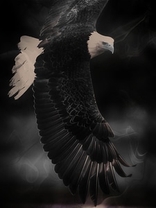 Predator feathered symbol