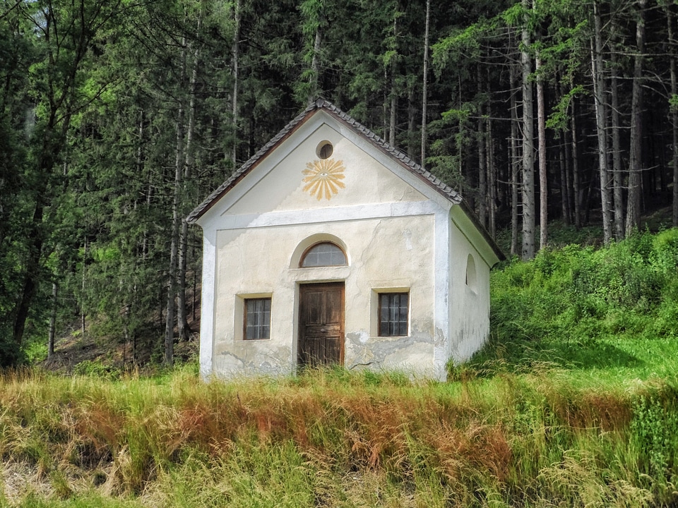 Faith religion forest
