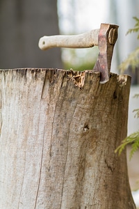 Hoe lumberjack forest
