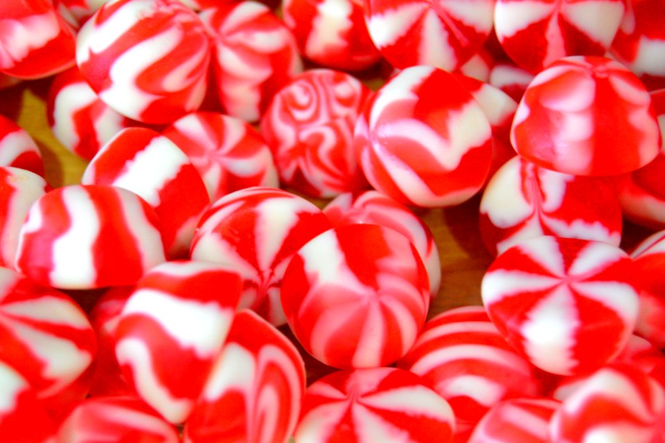 Confectionery Sweetness Royal Icing Candy