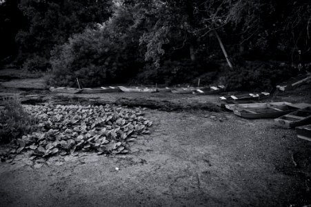 Water Black Nature Black And White