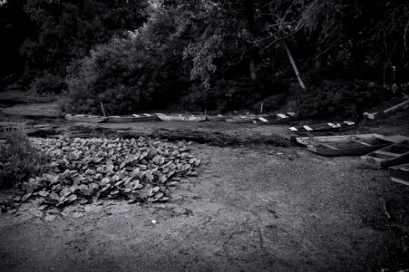 Water Black Nature Black And White photo