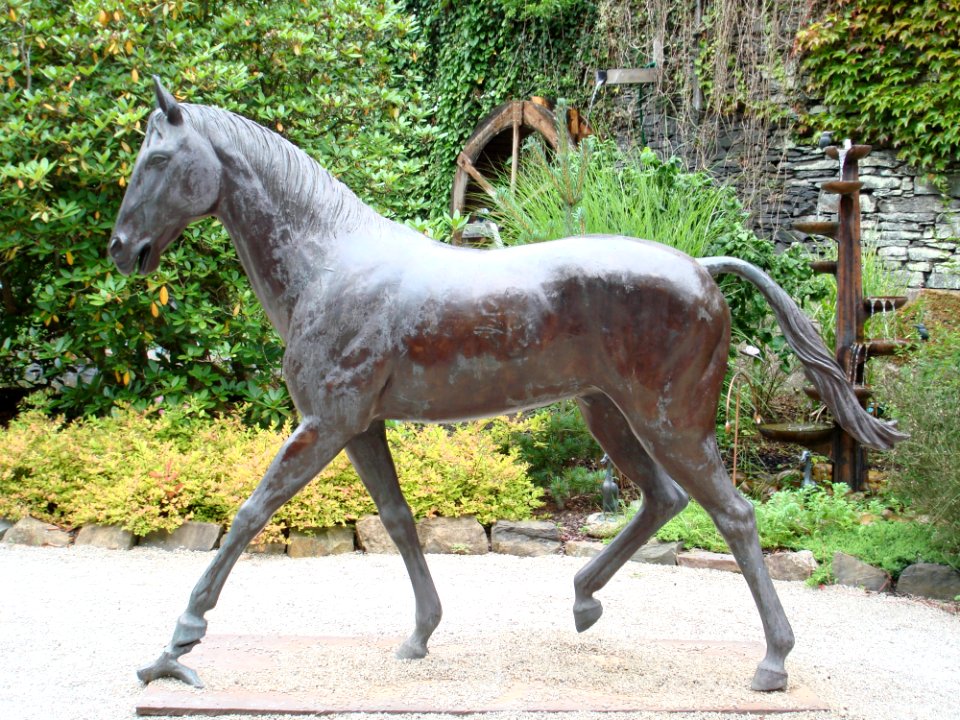 Horse Horse Like Mammal Mare Stallion