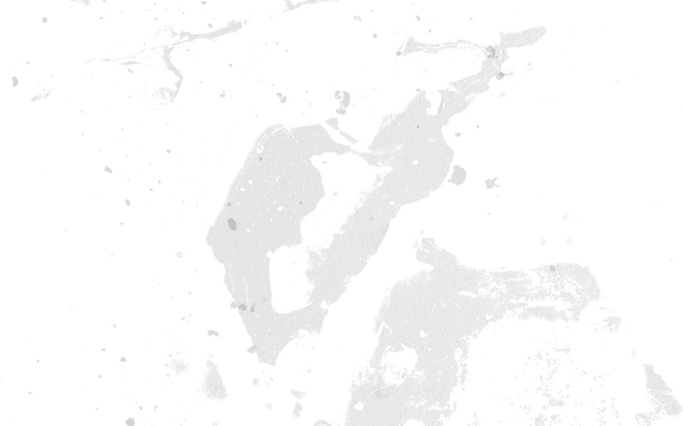 White Black And White Monochrome Photography Monochrome