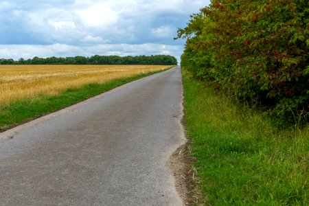 Road Path Lane Asphalt photo