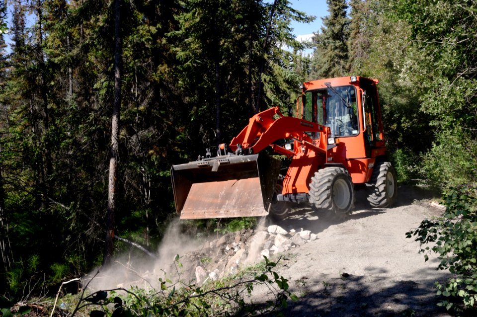 Tree Vehicle Geological Phenomenon Plant