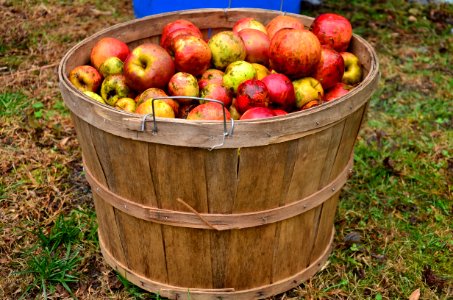Fruit Local Food Produce Apple photo