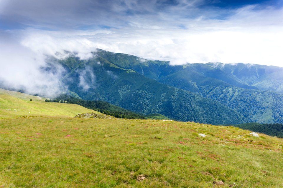 Foggy Mountain