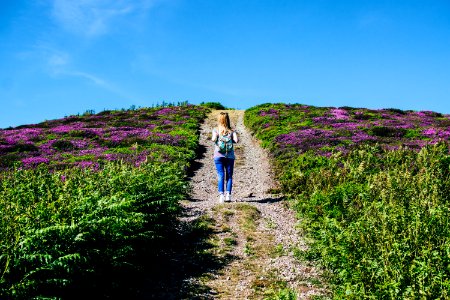 Woman Walking Alone In Between Purple Flower Field