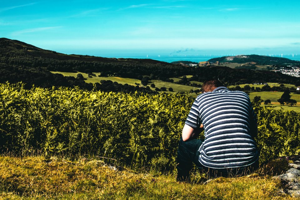 Person Sitting On Grass Field