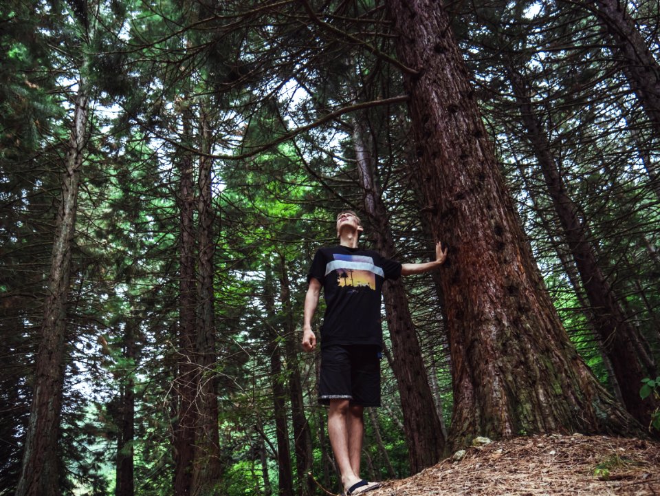 Man Wearing Black Shirt Touches Tree Trnk