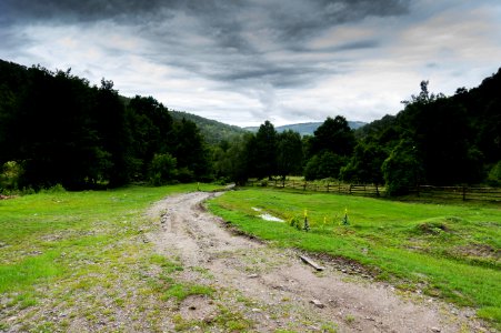 Rural Area