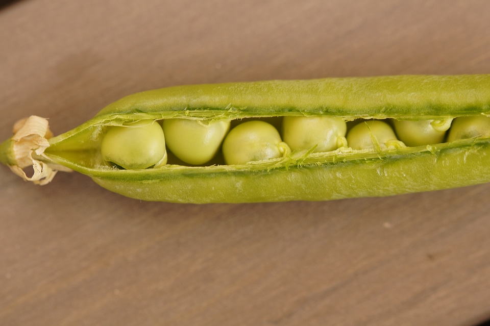 Green fresh vegetables