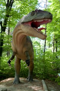 Dinosaur Tyrannosaurus Terrestrial Animal Grass photo