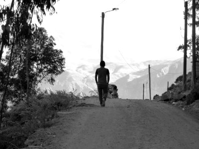 Road Black And White Sky Tree photo