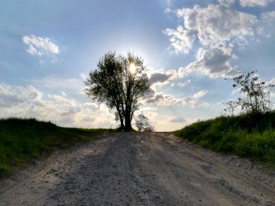 Road Sky Cloud Tree photo