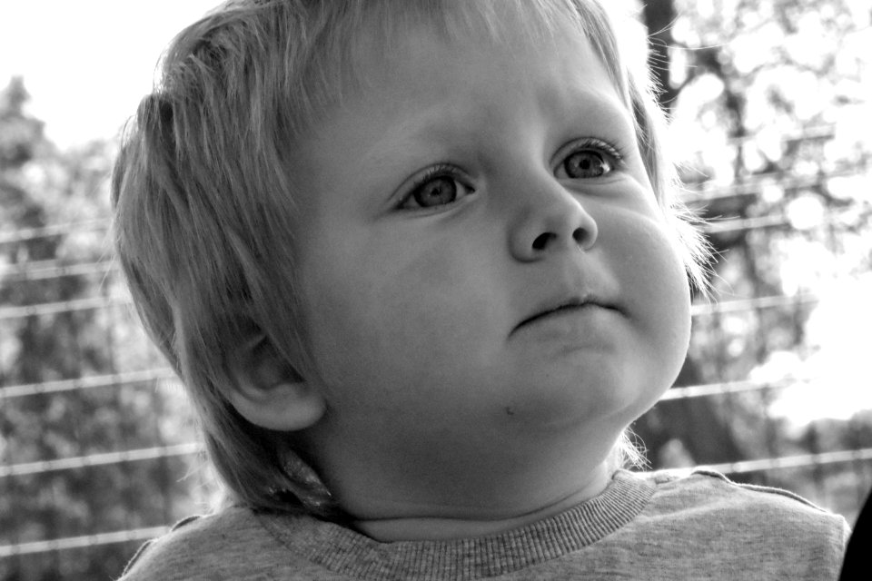 Face Child Person Photograph