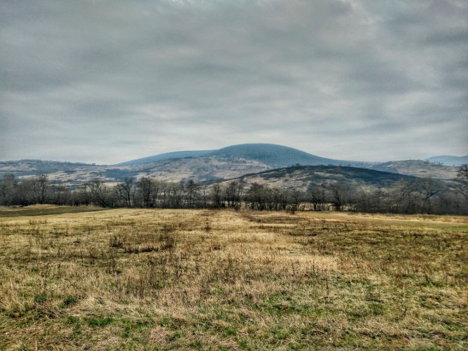 Highland Sky Ecosystem Grassland