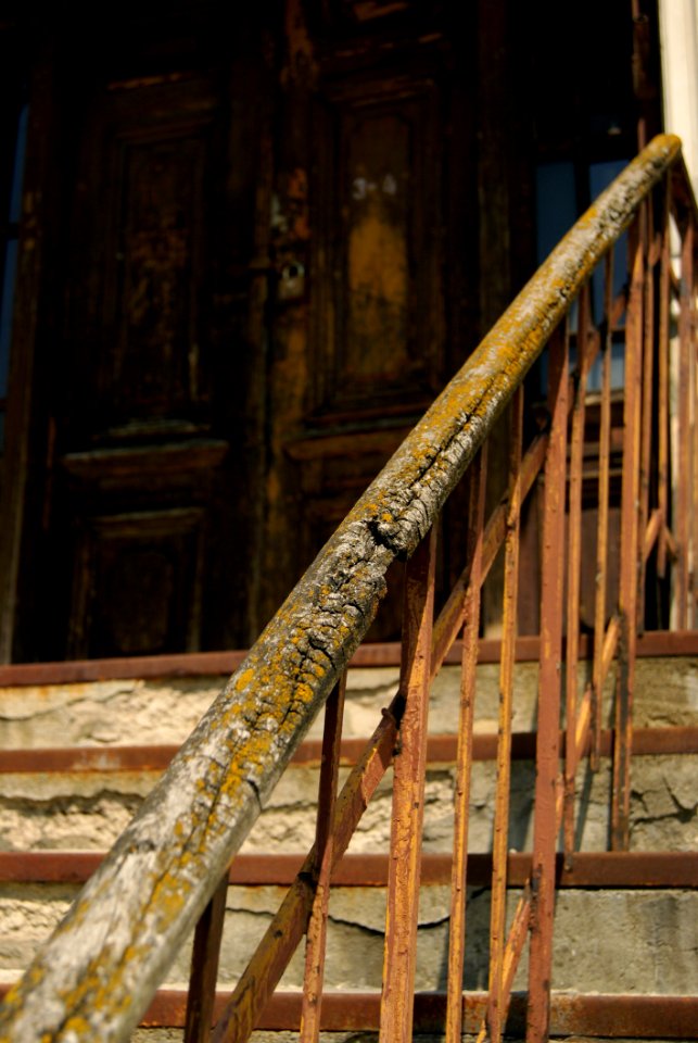 Iron Wood