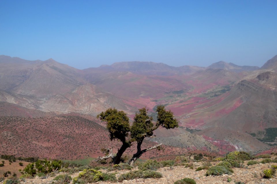 Chaparral Sky Vegetation Wilderness