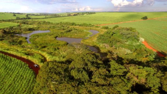 Nature Reserve Vegetation Grassland Water Resources photo