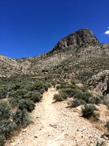 Chaparral Vegetation Wilderness Shrubland photo