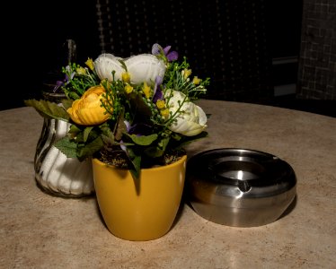 Flower Vase Plant Flowerpot photo