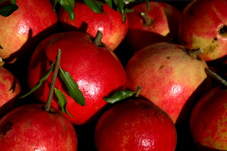 Natural Foods Fruit Pomegranate Produce photo