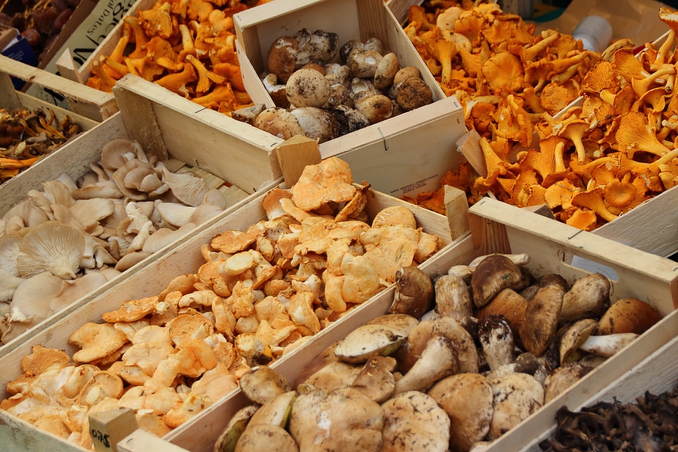 Marketplace sales stand forest mushrooms
