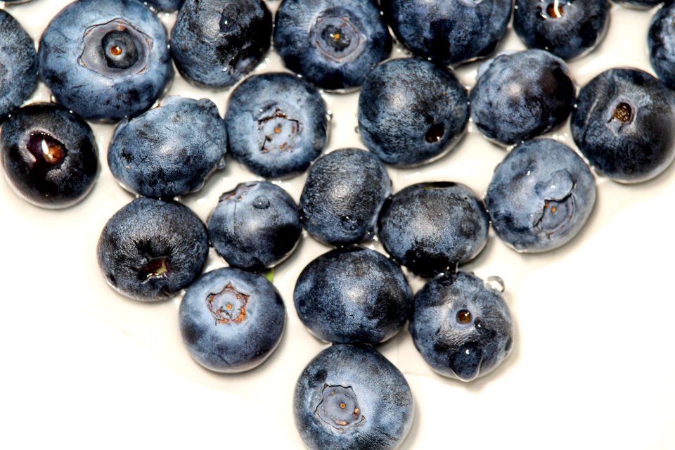 Fruit Blueberry Berry Food